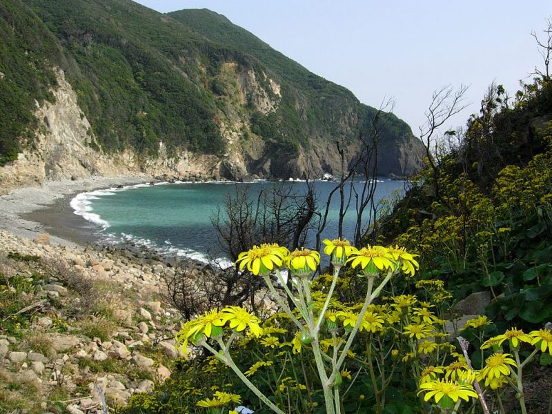 徳島四国の絶滅危惧希少植物と風景